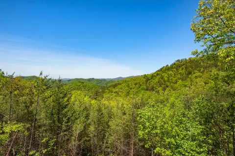 4475 Stackstone Rd, Sevierville, TN 37862 photo 58