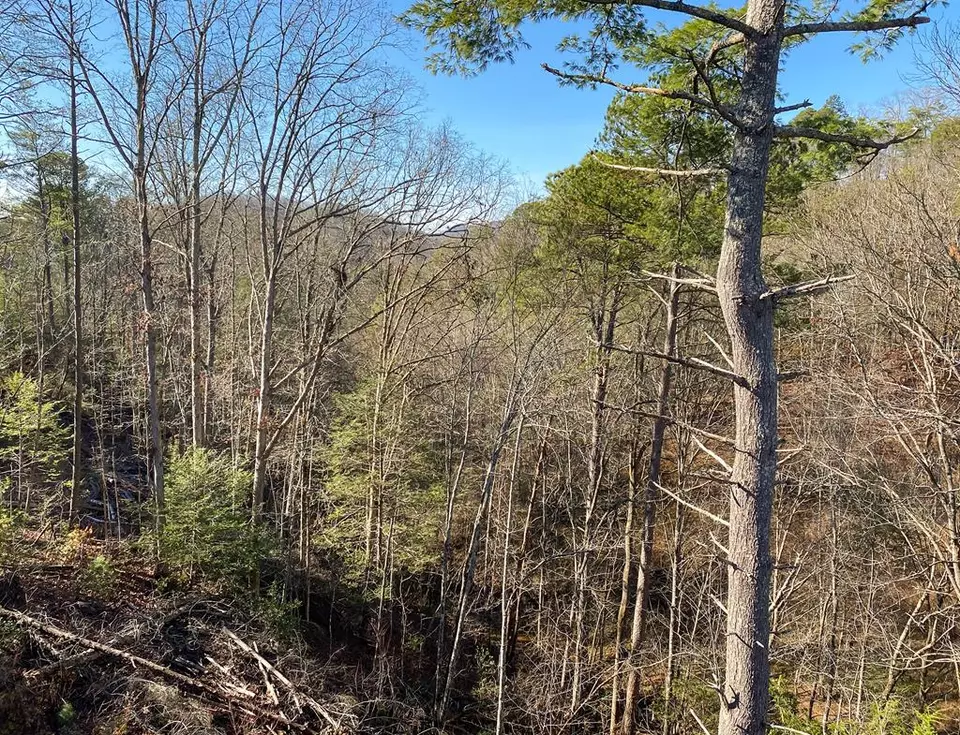  Lot 29r-2 Green Mountain Way, Sevierville, TN 37876 photo 35