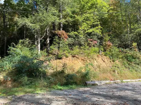 Palmer Road, Gatlinburg, TN 37738