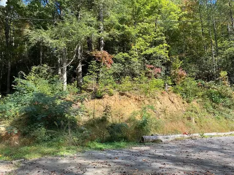 Palmer Road, Gatlinburg, TN 37738