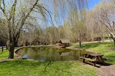 1663 Little Cabin Loop, Sevierville, TN 37862 photo 61