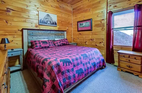 1663 Little Cabin Loop, Sevierville, TN 37862 photo 46