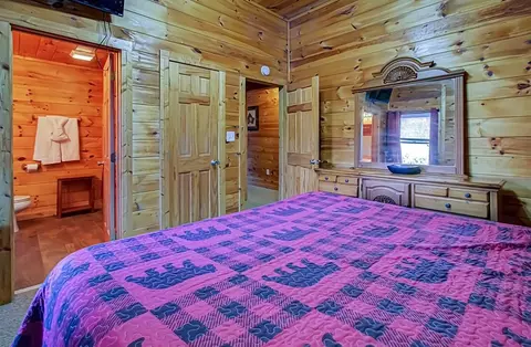 1663 Little Cabin Loop, Sevierville, TN 37862 photo 44