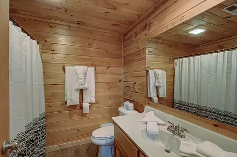 1663 Little Cabin Loop, Sevierville, TN 37862 photo 33