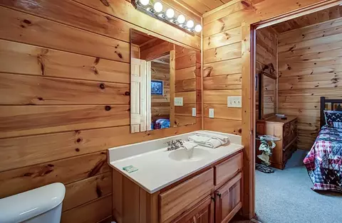 1663 Little Cabin Loop, Sevierville, TN 37862 photo 49