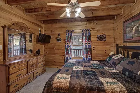 1663 Little Cabin Loop, Sevierville, TN 37862 photo 51