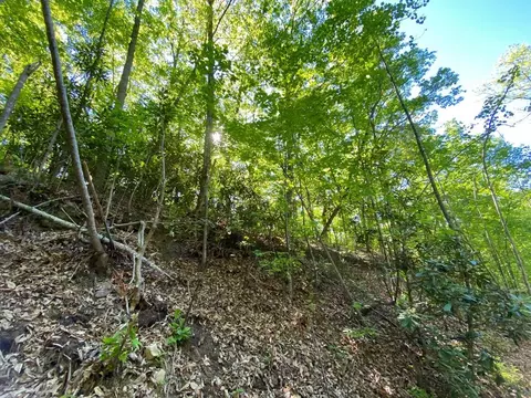 lot41 Trailer Park Ln, Sevierville, TN 37876