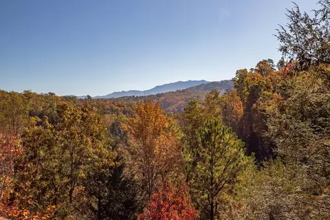 4335 Forest Ridge Way, Pigeon Forge, TN 37863 photo 8
