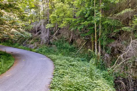 lot7 Willow Ln, Sevierville, TN 37862
