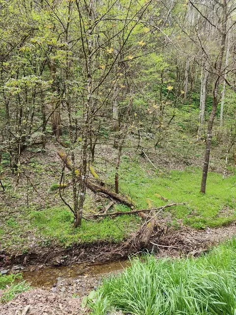 Lot 8 Hidden Hollow Way, Sevierville, TN 37876
