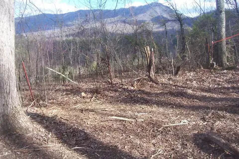 Lot 79 Muscadine Court, Sevierville, TN 37876