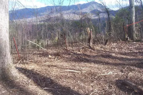 lot79 Muscadine Ct, Sevierville, TN 37876