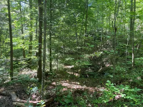 18 82 Acres Obes Branch Rd, Sevierville, TN 37876