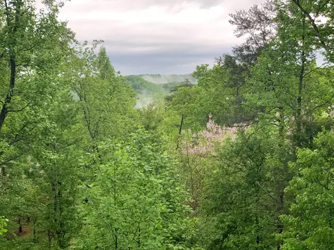Cloud View Dr, Sevierville, TN 37862 photo 7