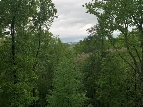 Cloud View Dr, Sevierville, TN 37862 photo 6