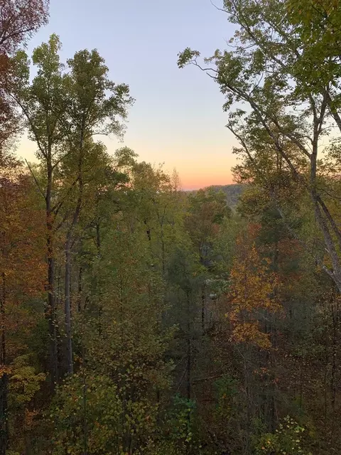 Cloud View Dr, Sevierville, TN 37862 photo 2