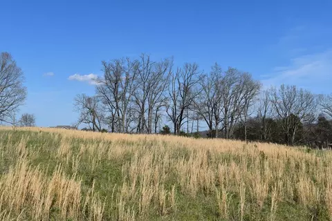 Temple Road, Seymour, TN 37865