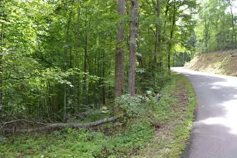 lot12 Fox Hunters Ln, Sevierville, TN 37876