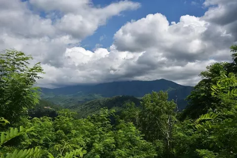 564 Campbell Lead Rd, Gatlinburg, TN 33738