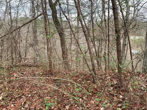 lot36 Red Cedar Ln, Sevierville, TN 37876