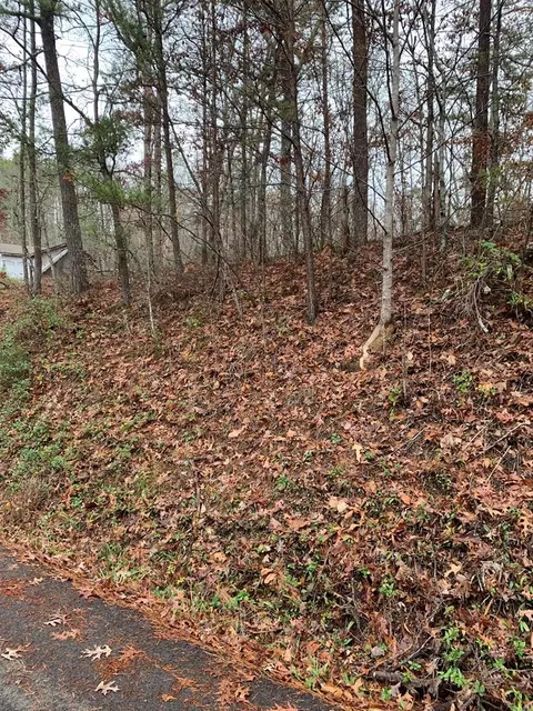 Lot Pt28 Dogwood Drive, Sevierville, TN 37876