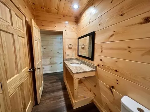 829 String Run Way, Pigeon Forge, TN 37863 photo 13