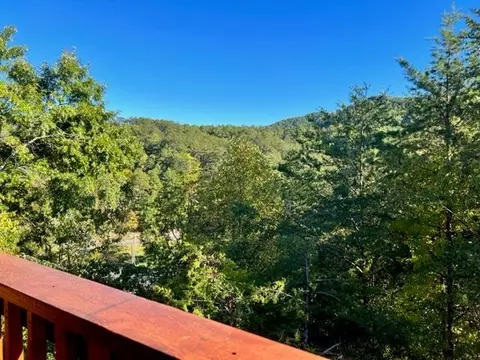 829 String Run Way, Pigeon Forge, TN 37863 photo 18