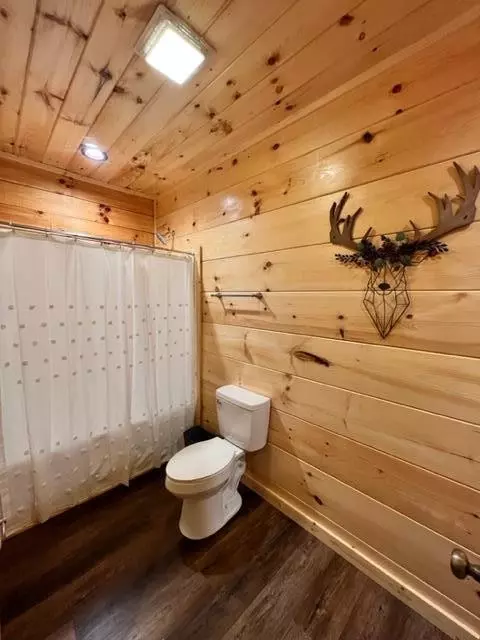 829 String Run Way, Pigeon Forge, TN 37863 photo 10