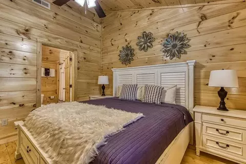 829 String Run Way, Pigeon Forge, TN 37863 photo 3