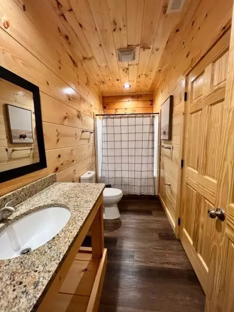 829 String Run Way, Pigeon Forge, TN 37863 photo 14