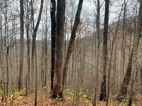 Lot 13 Emerald Springs Loop, Sevierville, TN 37862