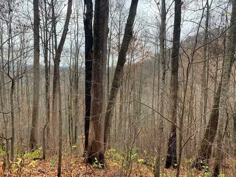 Lot 13 Emerald Springs Loop, Sevierville, TN 37862