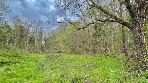 Knob Creek Road, Seymour, TN 37865