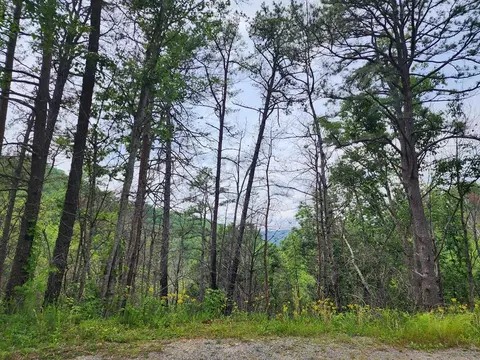 lot20 Sugar Maple Loop Rd, Sevierville, TN 37862