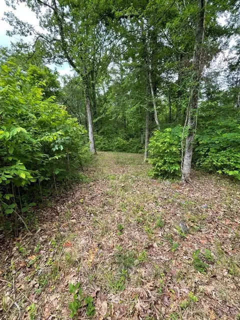 French Broad River Road, Seymour, TN 37865