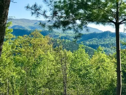 5015 Long Rifle Rd, Walland, TN 37886