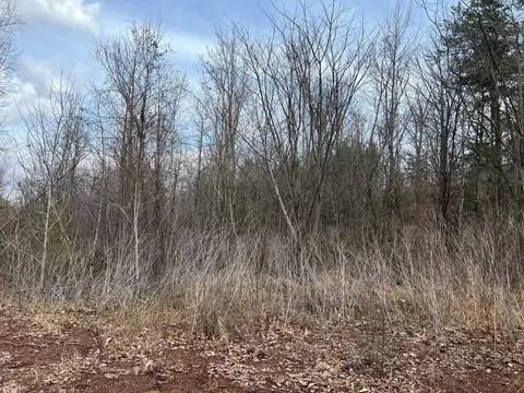 Blue Springs Road, Newport, TN 37821