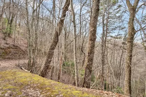 Lot 9 Shagbark Hickory Ridge, Sevierville, TN 37862