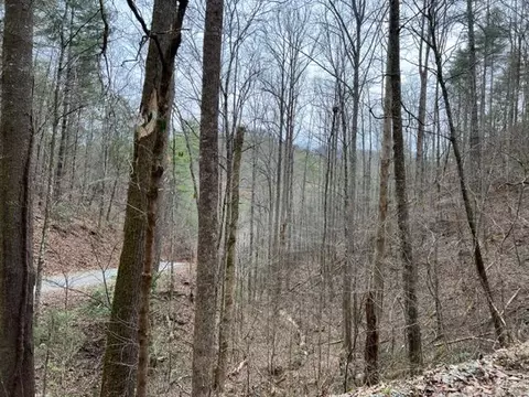 Woodside Ln, Sevierville, TN 37862