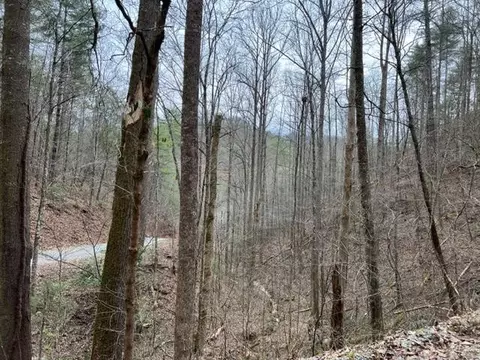 Woodside Lane, Sevierville, TN 37862