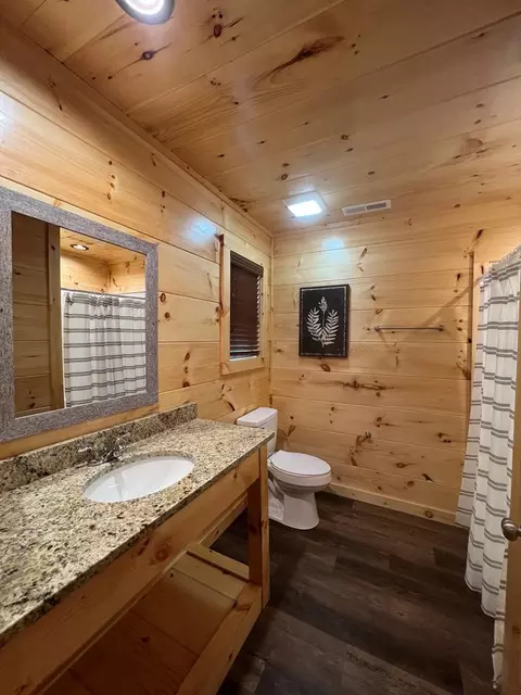 838 String Run Way, Pigeon Forge, TN 37863 photo 49