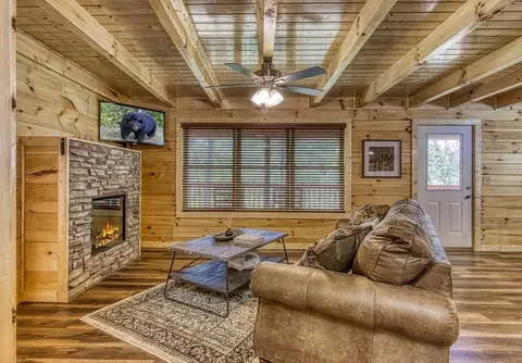 838 String Run Way, Pigeon Forge, TN 37863 photo 11