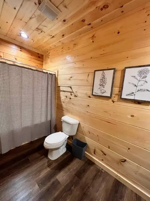 838 String Run Way, Pigeon Forge, TN 37863 photo 48