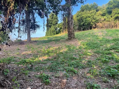 Chapman Highway, Seymour, TN 37865