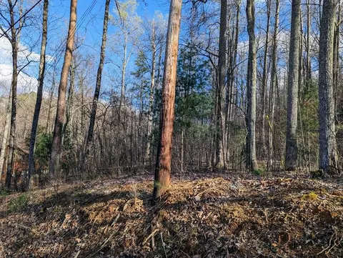 Shagbark Hickory Ridge, Sevierville, TN 37862