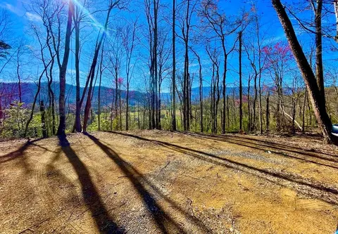 lot3 R-4 Pleasant Valley Rd, Cosby, TN 37722