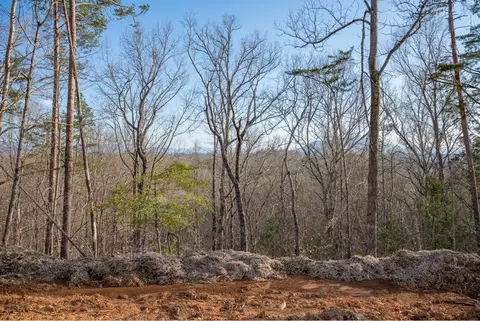 Lot 165 Reedmont Way, Sevierville, TN 37876