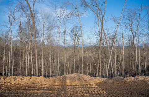 Lot 166 Reedmont Way, Sevierville, TN 37876