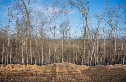 Lot 166 Reedmont Way, Sevierville, TN 37876