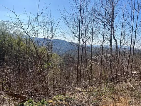 Undisclosed, Gatlinburg, TN 37738